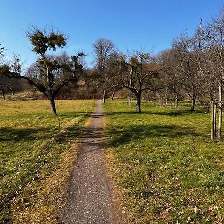 Kinderparadies Alt Luexem ヴィットリッヒ