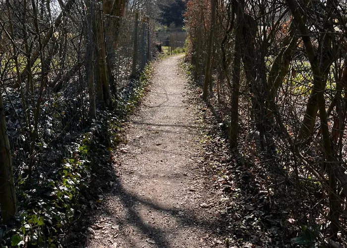 Apartament Kinderparadies Alt Luexem *