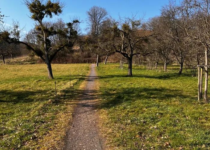 Kinderparadies Alt Luexem Wittlich